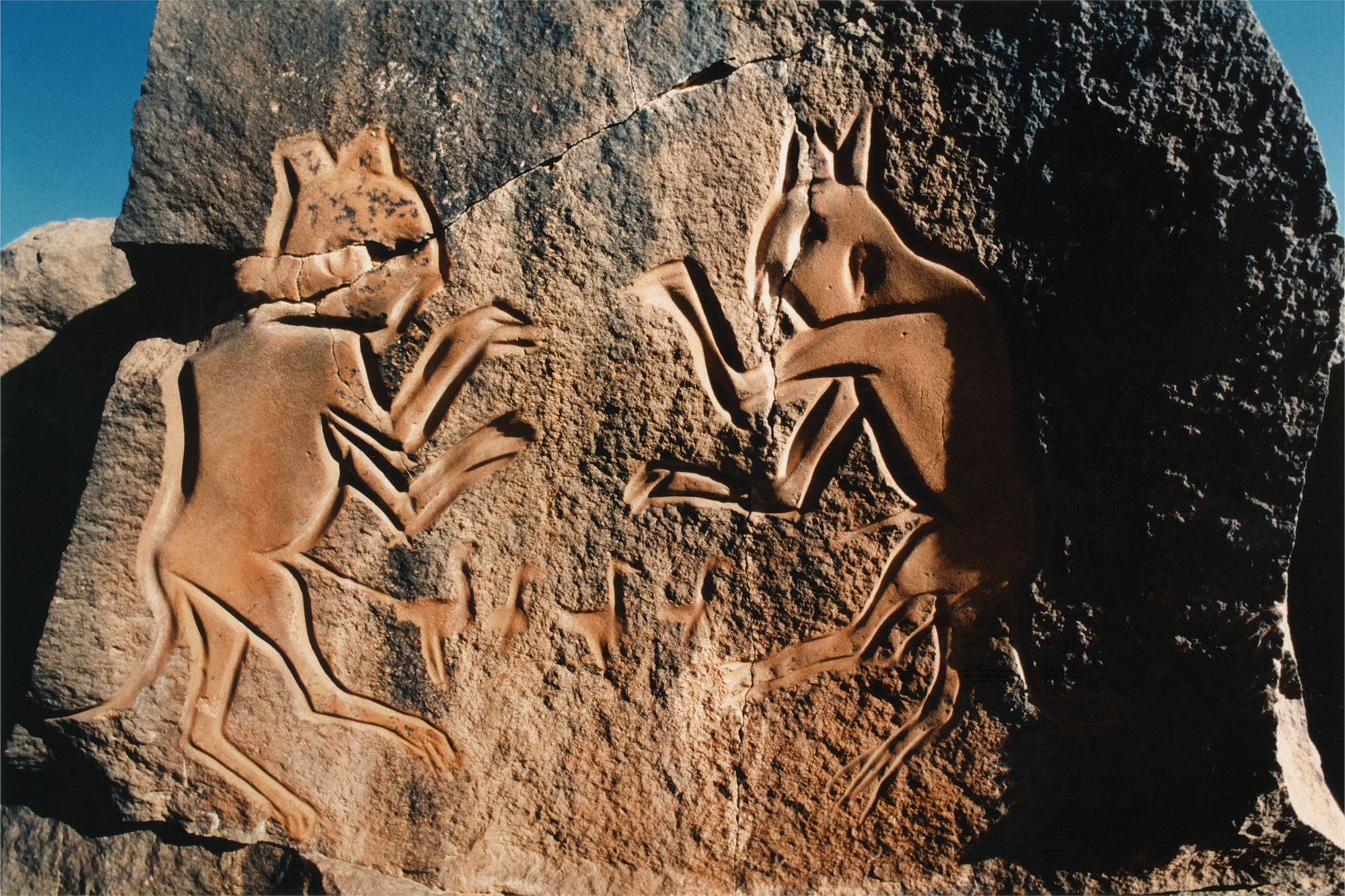 Ancient Saharan rock art