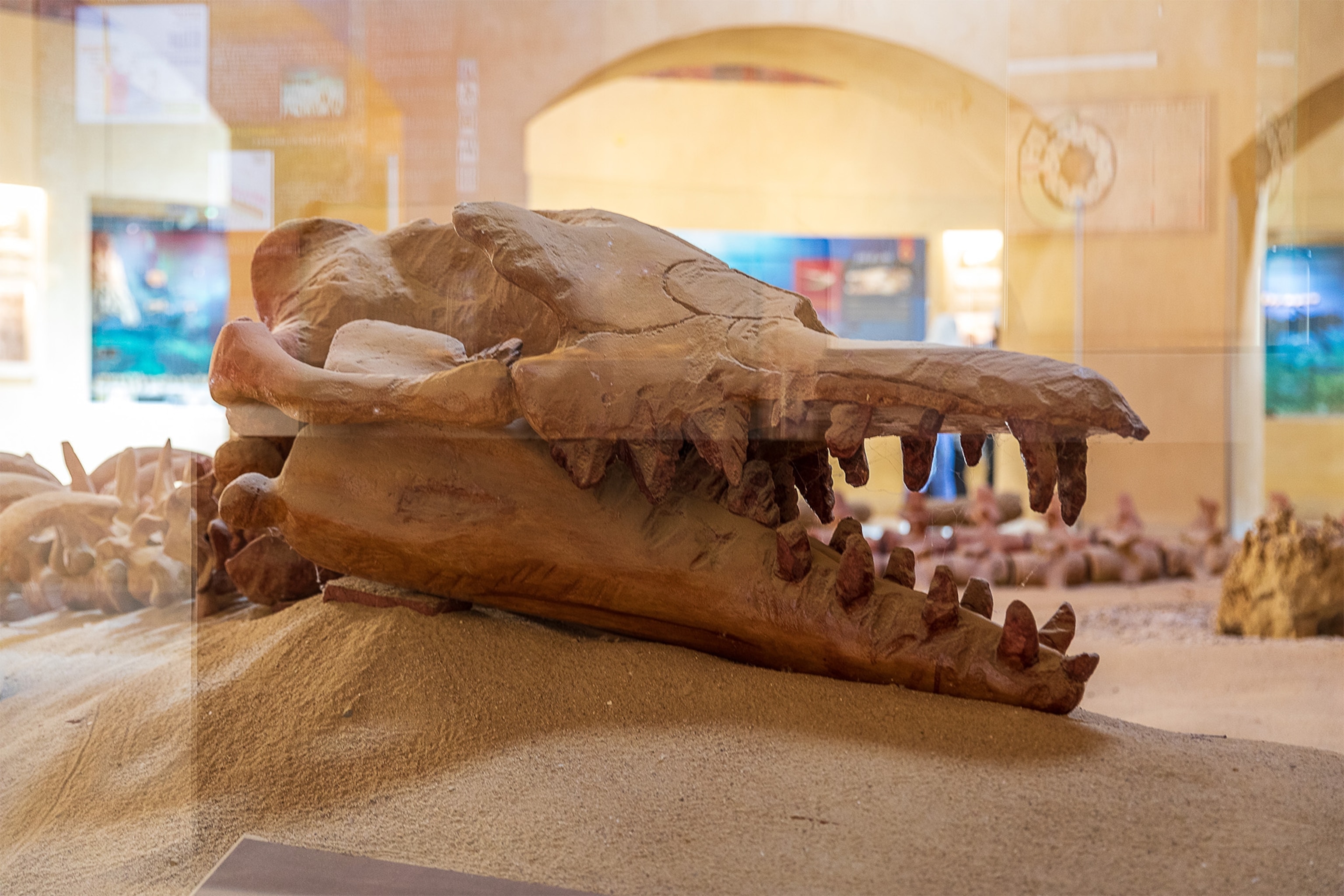 Wadi Al-Hitan Valley of Whales fossil site